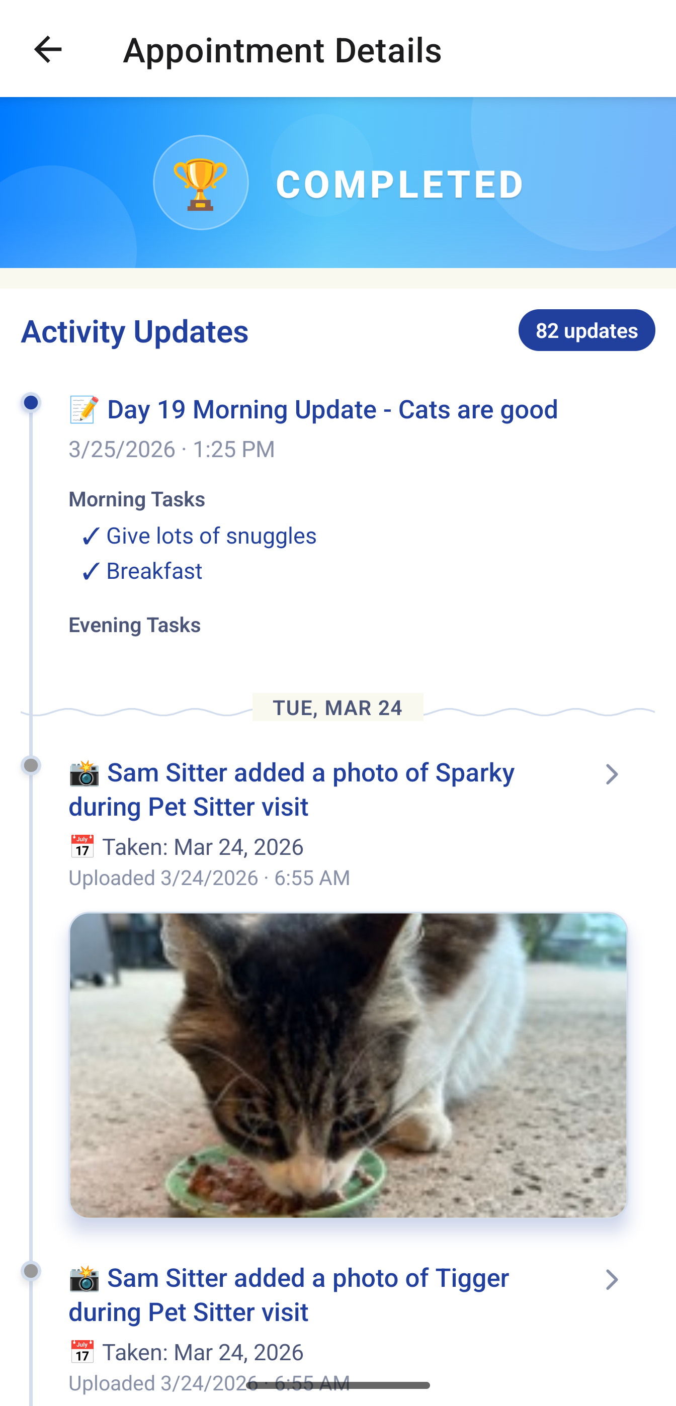 Temporary access grant for pet sitters in Trovvy